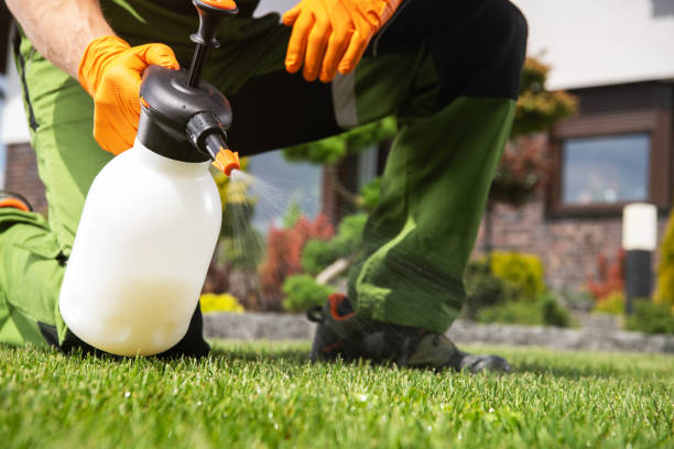 Trusted Keystone Heights, FL Pest Control Experts