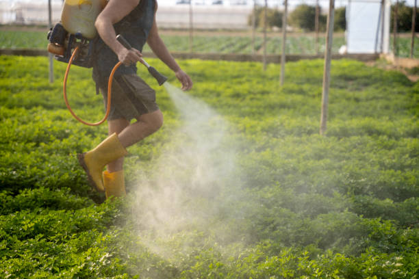Best Pest Prevention Services  in Keystone Heights, FL