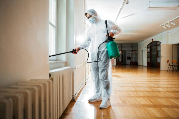 Best Mosquito Control Services  in Keystone Heights, FL