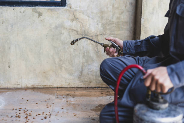 Best Pest Removal Services  in Keystone Heights, FL